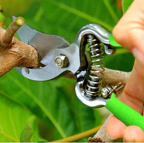 Garden Guru Soft Grip Garden Pruning Shears Scissors Clipper – All About  The Garden