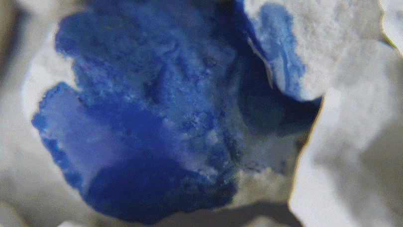 Diatomaceous Earth