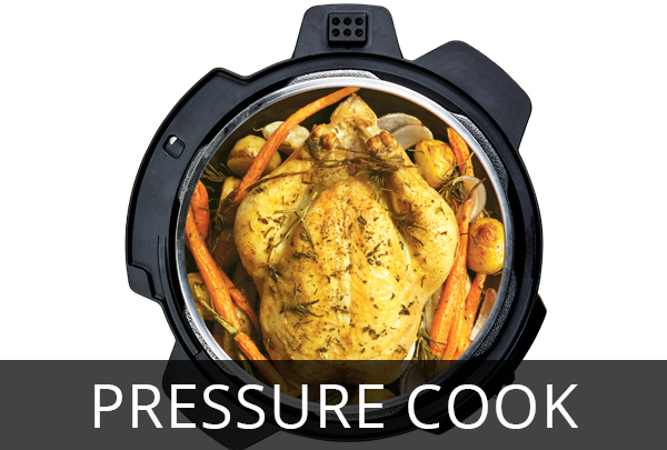 pressure cooked chicken