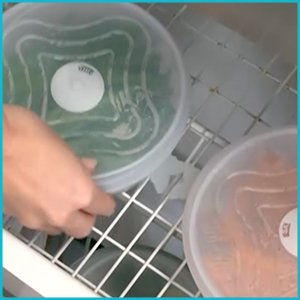 keep freezer burns away