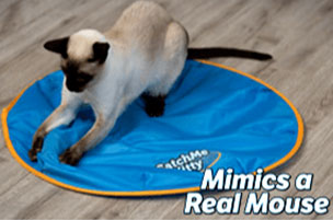 mimics real mouse