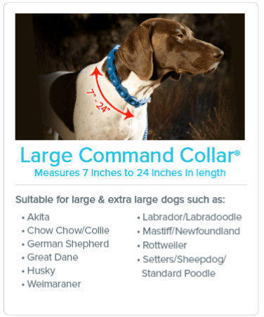 Large Command Collar® Measures 7 inches to 24 inches in length. Suitable for large and extra large dogs such as: Akita; Chow Chow/Collie; German Shephard; Great Dane; Husky; Welmaraner; Labrador/Labradoodle; Mastiff/Newfoundland; Rottweiler; Setters/Sheepdog/Standard Poodle