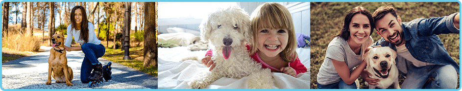 Happy dog owners and their dogs.