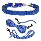 Command Collar plus 3 training lines