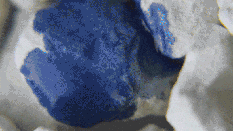 Diatomaceous Earth
