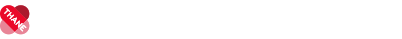 H2O SteamFX Pro