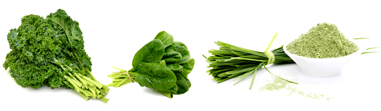 Leafy Greens